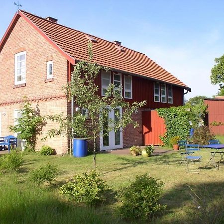 Dhh-Ostwind Villa Prerow Dış mekan fotoğraf