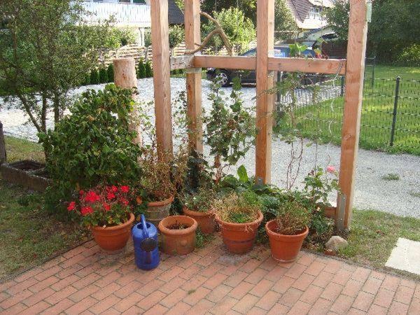 Dhh-Ostwind Villa Prerow Dış mekan fotoğraf